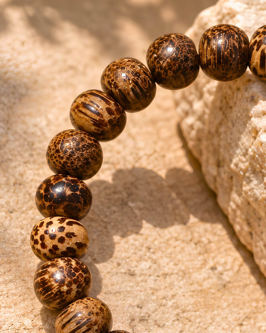 Coconut Shell