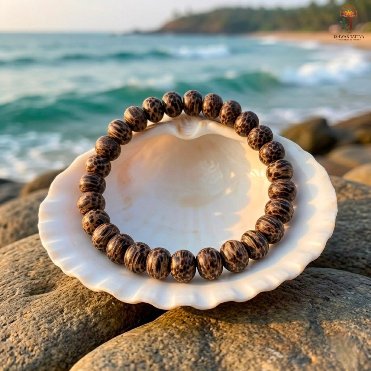 Coconut Wood Bracelet – Natural Coconut Wood Bracelet | Ishwar Tattva