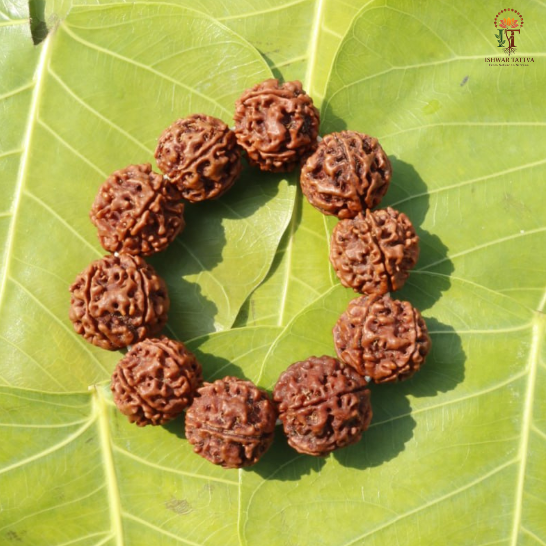 Rudraksha Bracelet – Authentic Rudraksha Bead Bracelet | Ishwar Tattva
